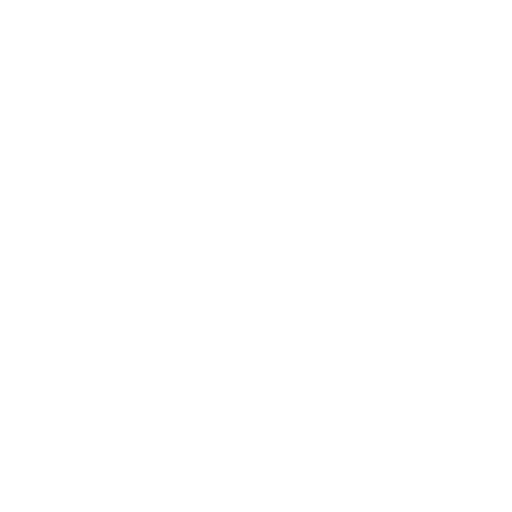 Orion International